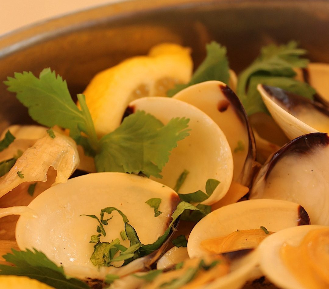 Amêijoas à Bulhão Pato com coentros e limão